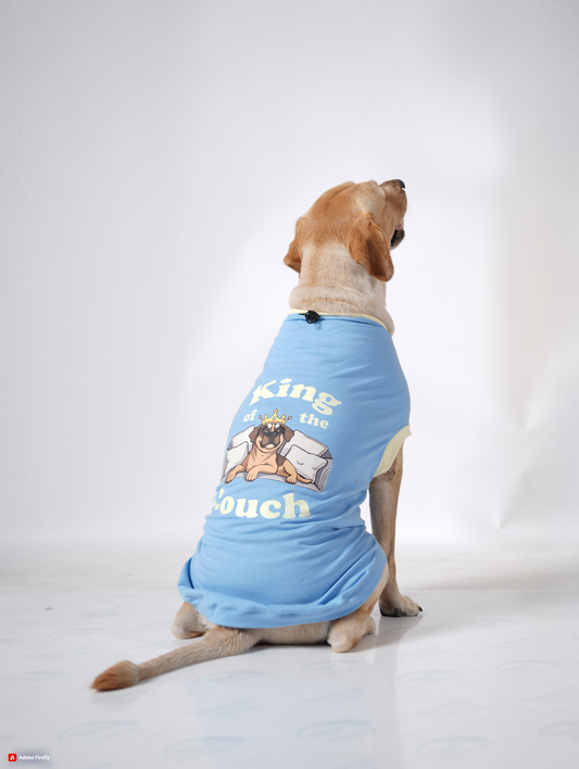 Thunder Tails KING OF THE COUCH Adjustable Graphic T-shirt