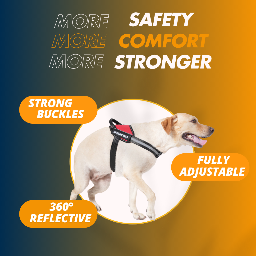 ThunderFit Dog Harness