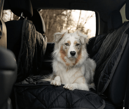 Thunder Tails Car Seat Cover For Dogs - Thunder Tails