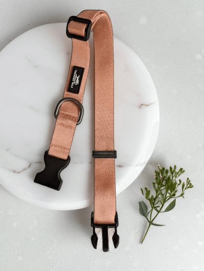 Thunder Tails Color Burst Nylon Collars- Rose Gold - Thunder Tails