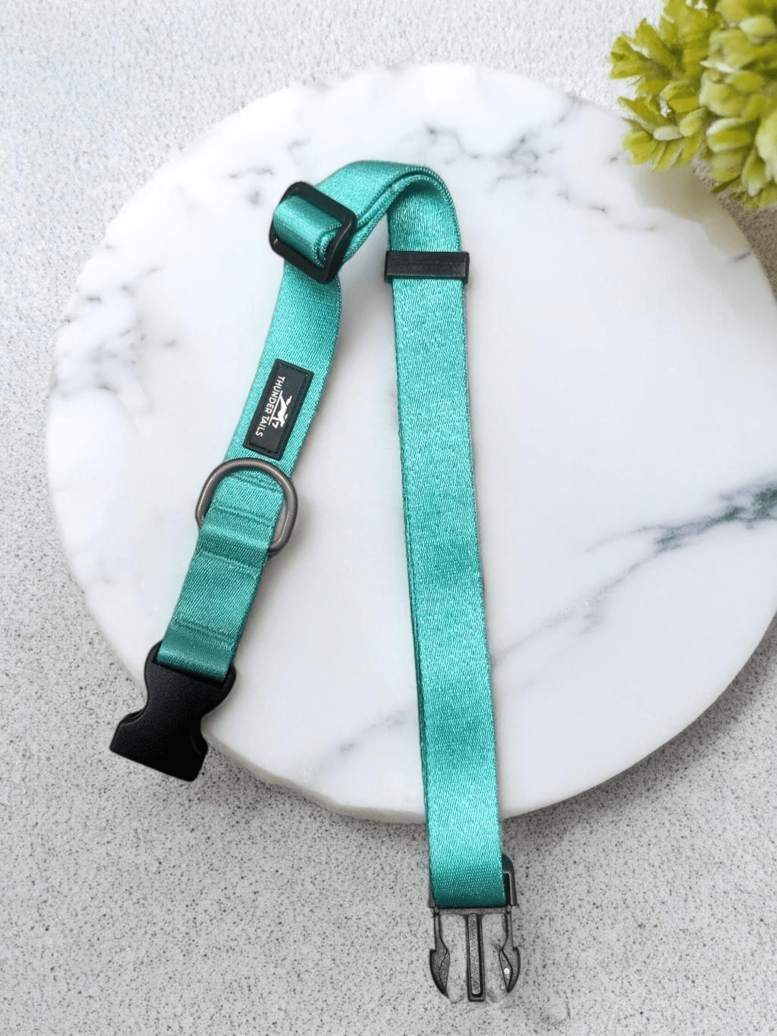 Thunder Tails Color Burst Nylon Collars- Teal - Thunder Tails