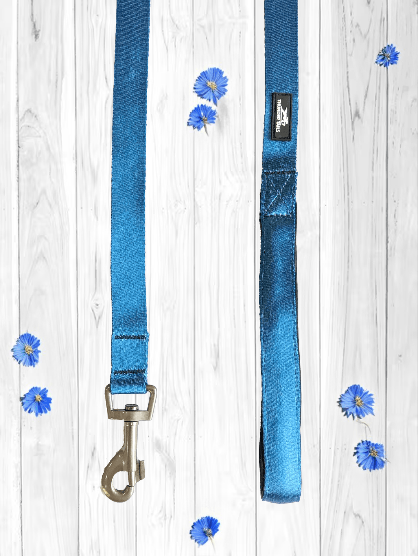 Thunder Tails Color Burst Nylon Leash- Blue - Thunder Tails