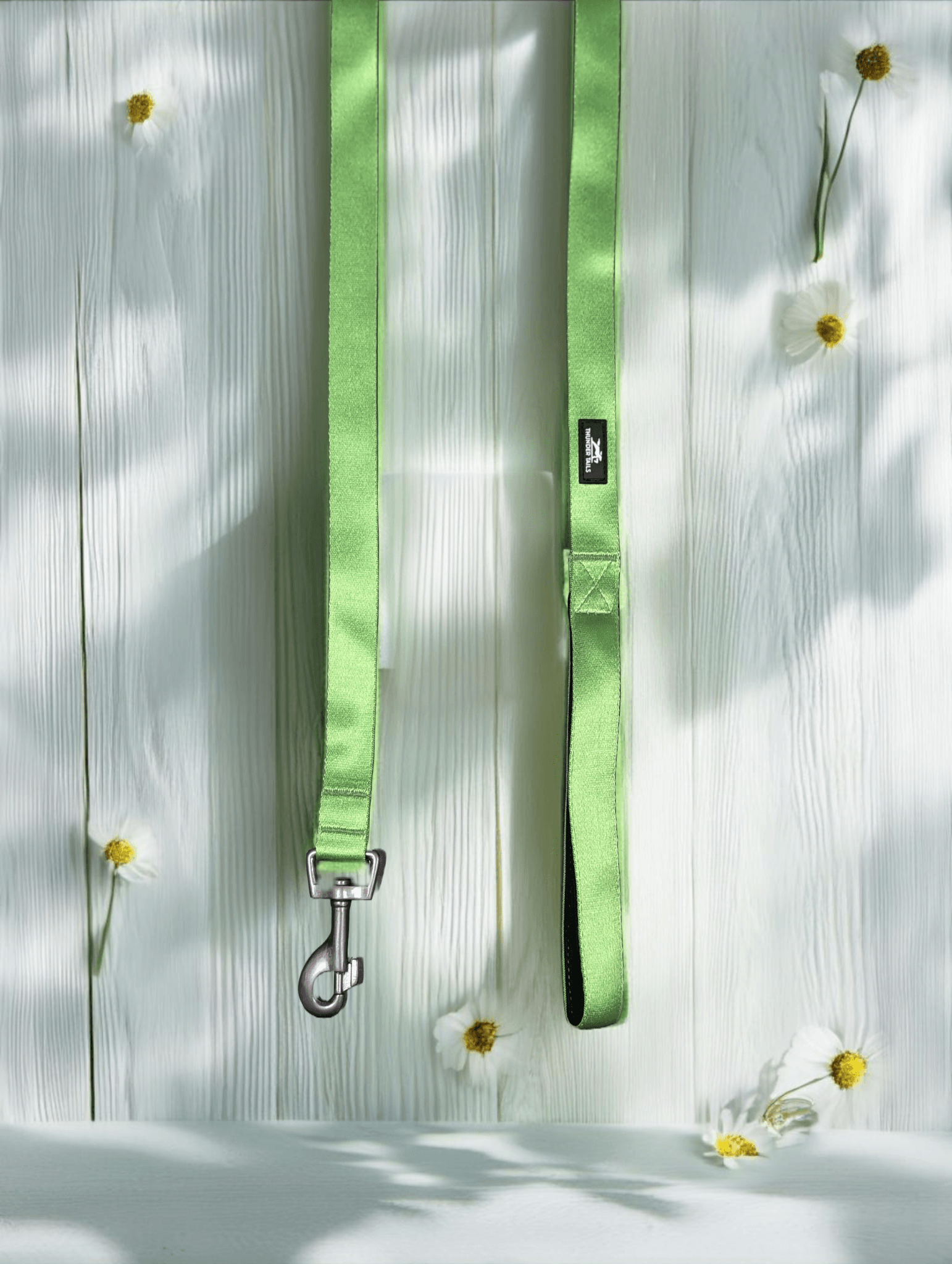 Thunder Tails Color Burst Nylon Leash- Light Green - Thunder Tails