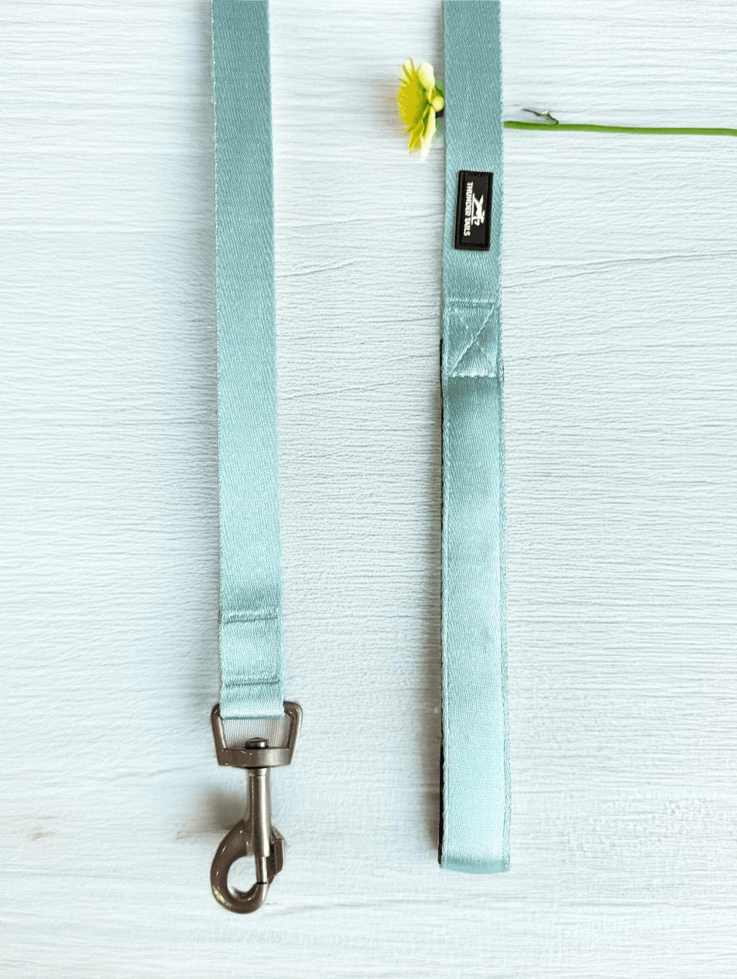 Thunder Tails Color Burst Nylon Leash- Light Teal - Thunder Tails