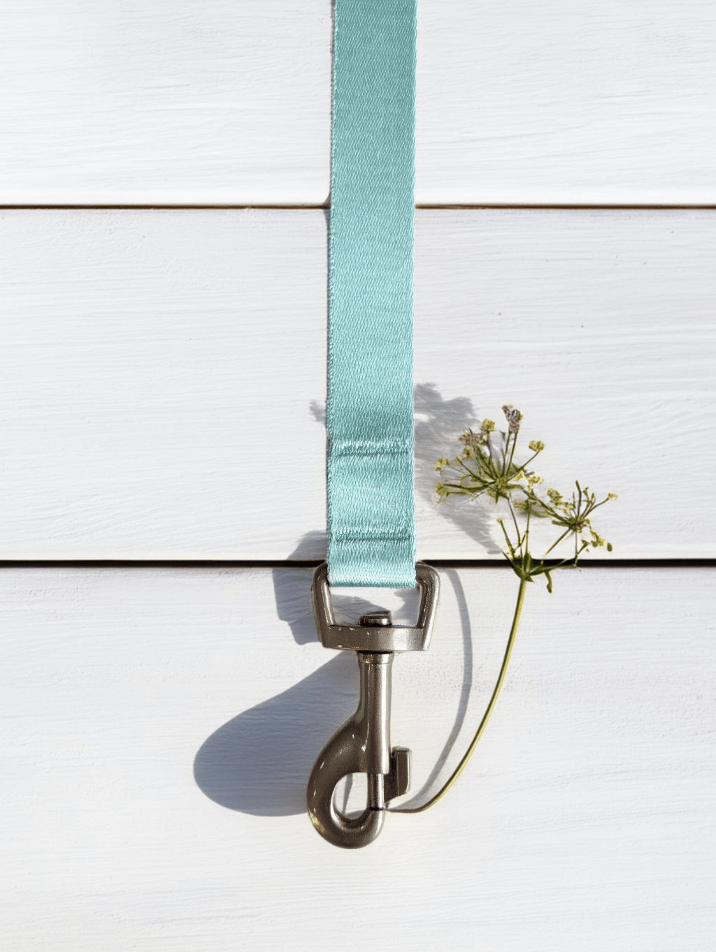 Thunder Tails Color Burst Nylon Leash- Light Teal - Thunder Tails