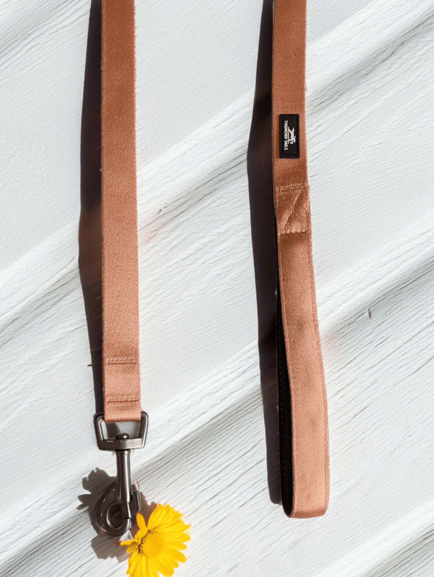 Thunder Tails Color Burst Nylon Leash- Rose Gold - Thunder Tails