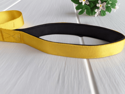 Thunder Tails Color Burst Nylon Leash- Yellow - Thunder Tails