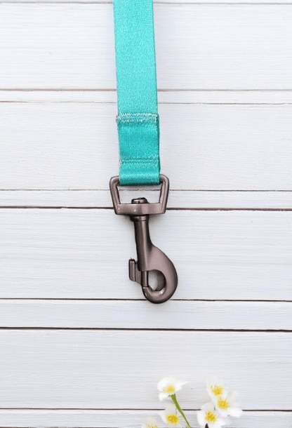 Thunder Tails Color Burst Nylon Leash- Teal - Thunder Tails