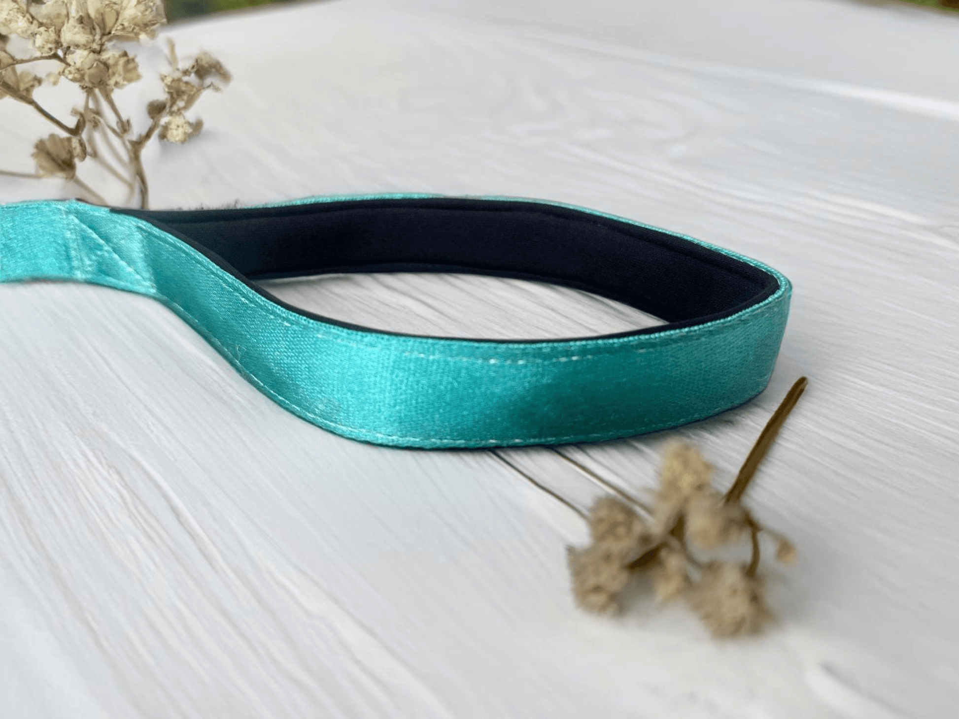 Thunder Tails Color Burst Nylon Leash- Teal - Thunder Tails