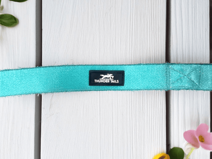 Thunder Tails Color Burst Nylon Leash- Teal - Thunder Tails