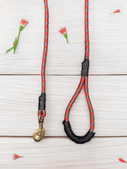 Thunder Tails Classic Rope Leash S- Red/Blue - Thunder Tails