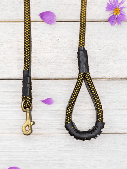 Thunder Tails Classic Rope Leash M- Black/Yellow - Thunder Tails