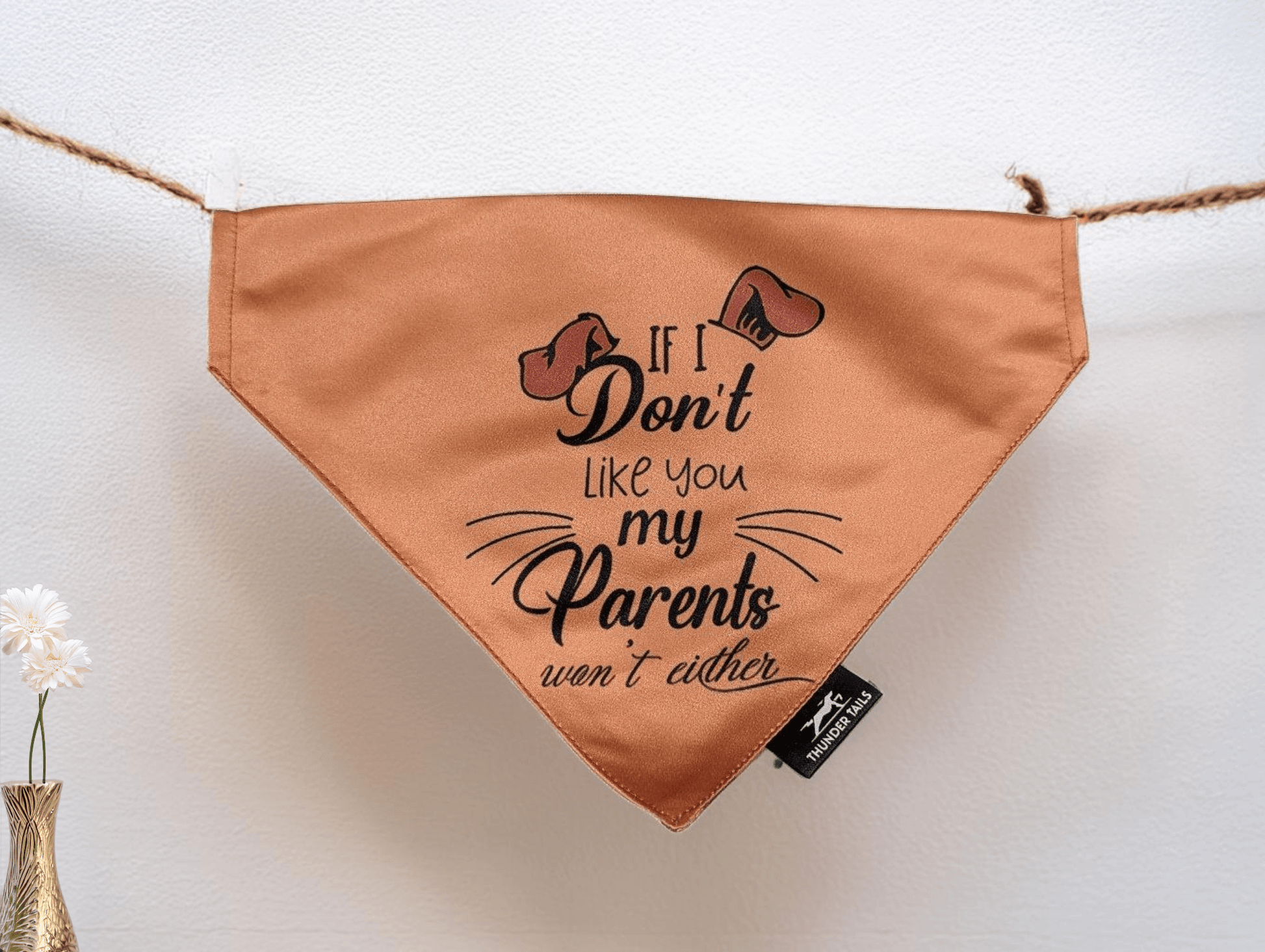 Thunder Tails IF I DON'T LIKE YOU, MY PARENTS WON'T EITHER Reversible Bandana - Thunder Tails