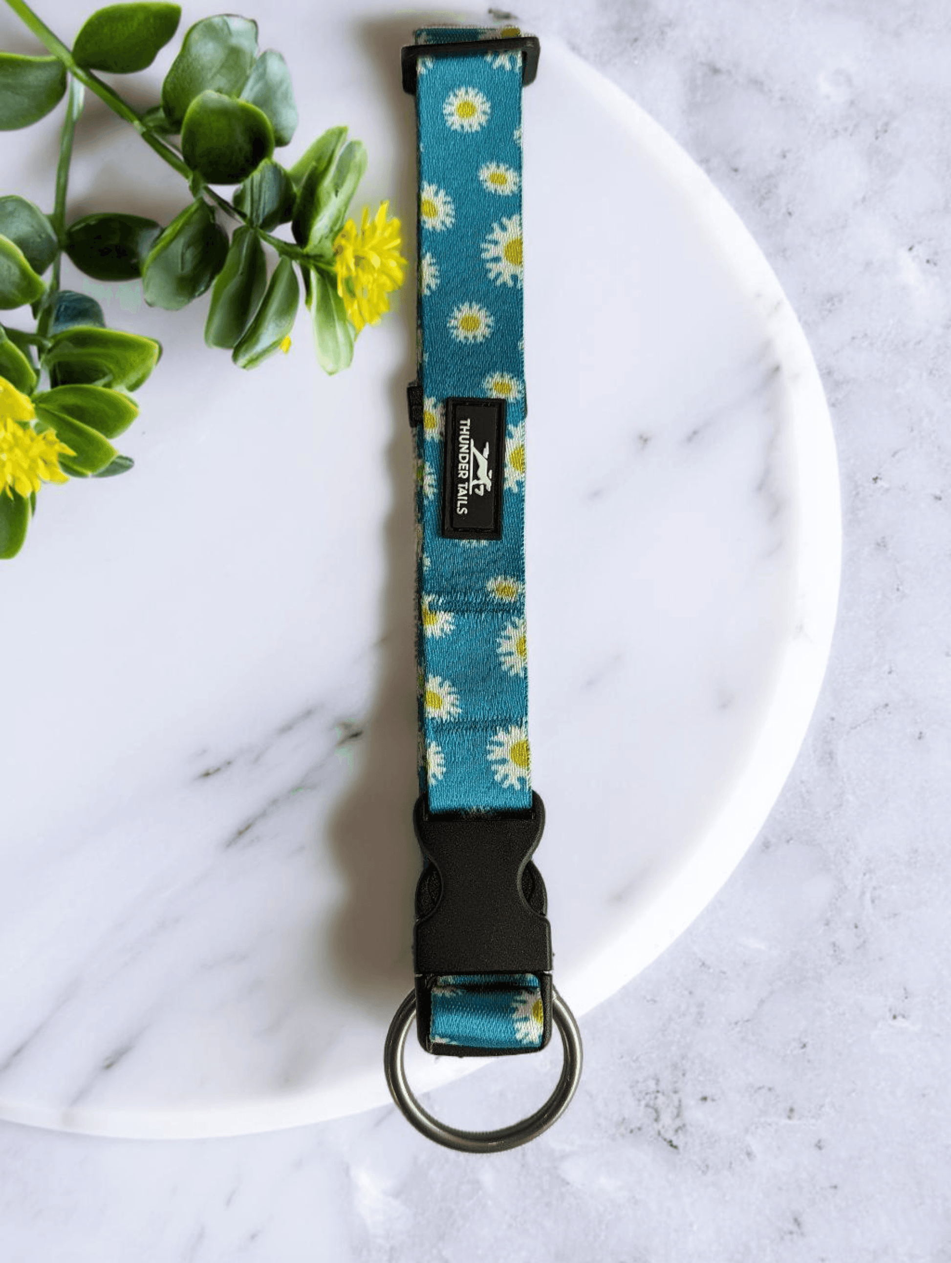 Thunder Tails Elite Nylon Printed Collars- Teal Floral - Thunder Tails