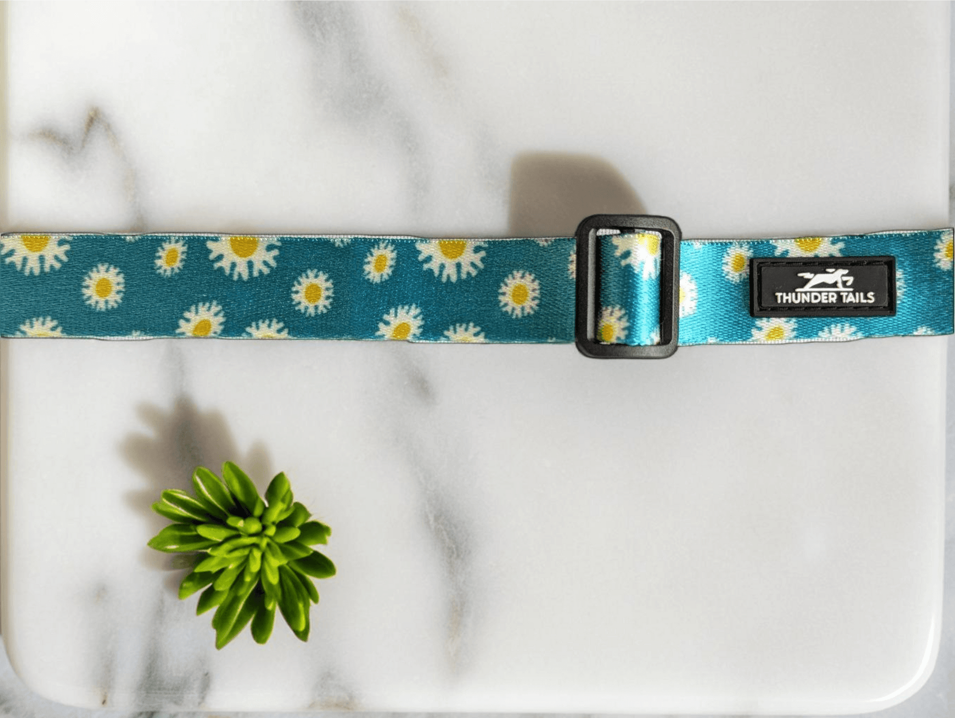 Thunder Tails Elite Nylon Printed Collars- Teal Floral - Thunder Tails