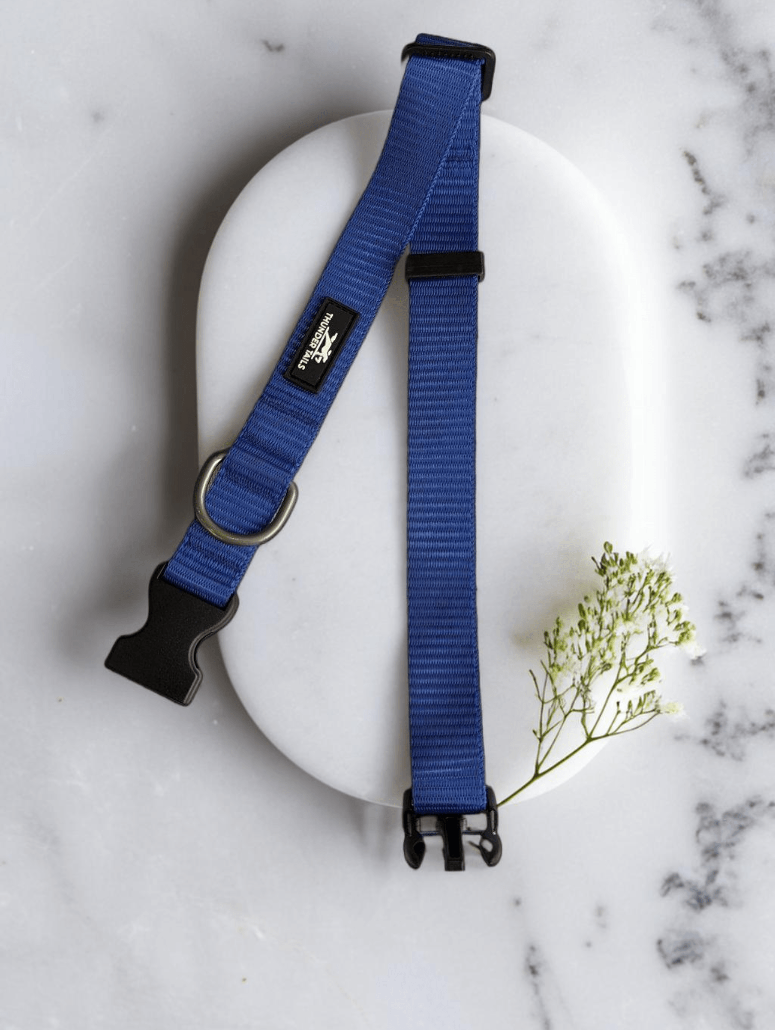 Thunder Tails Everyday Nylon Collars - Blue - Thunder Tails