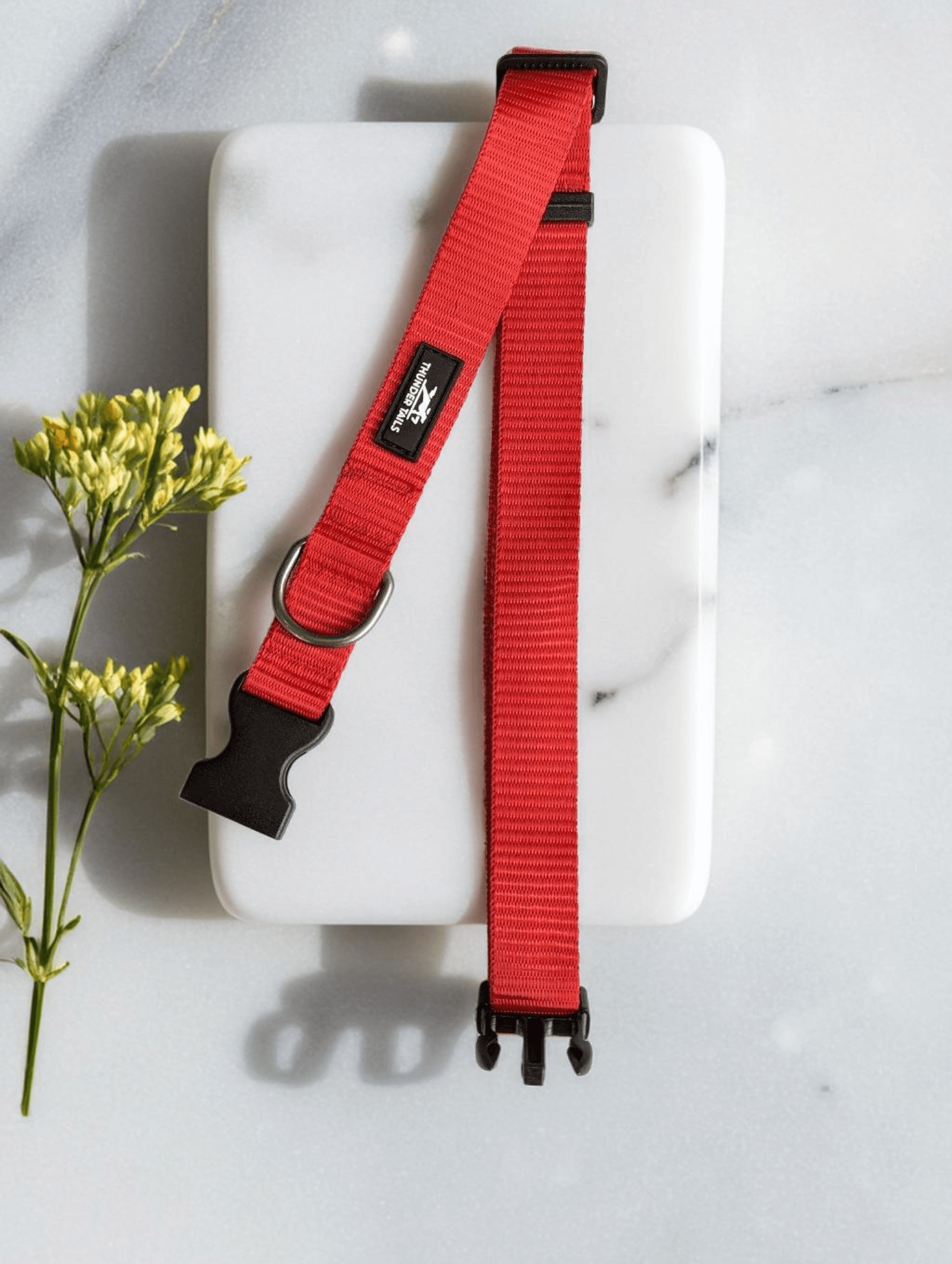 Thunder Tails Everyday Nylon Collars - Red - Thunder Tails