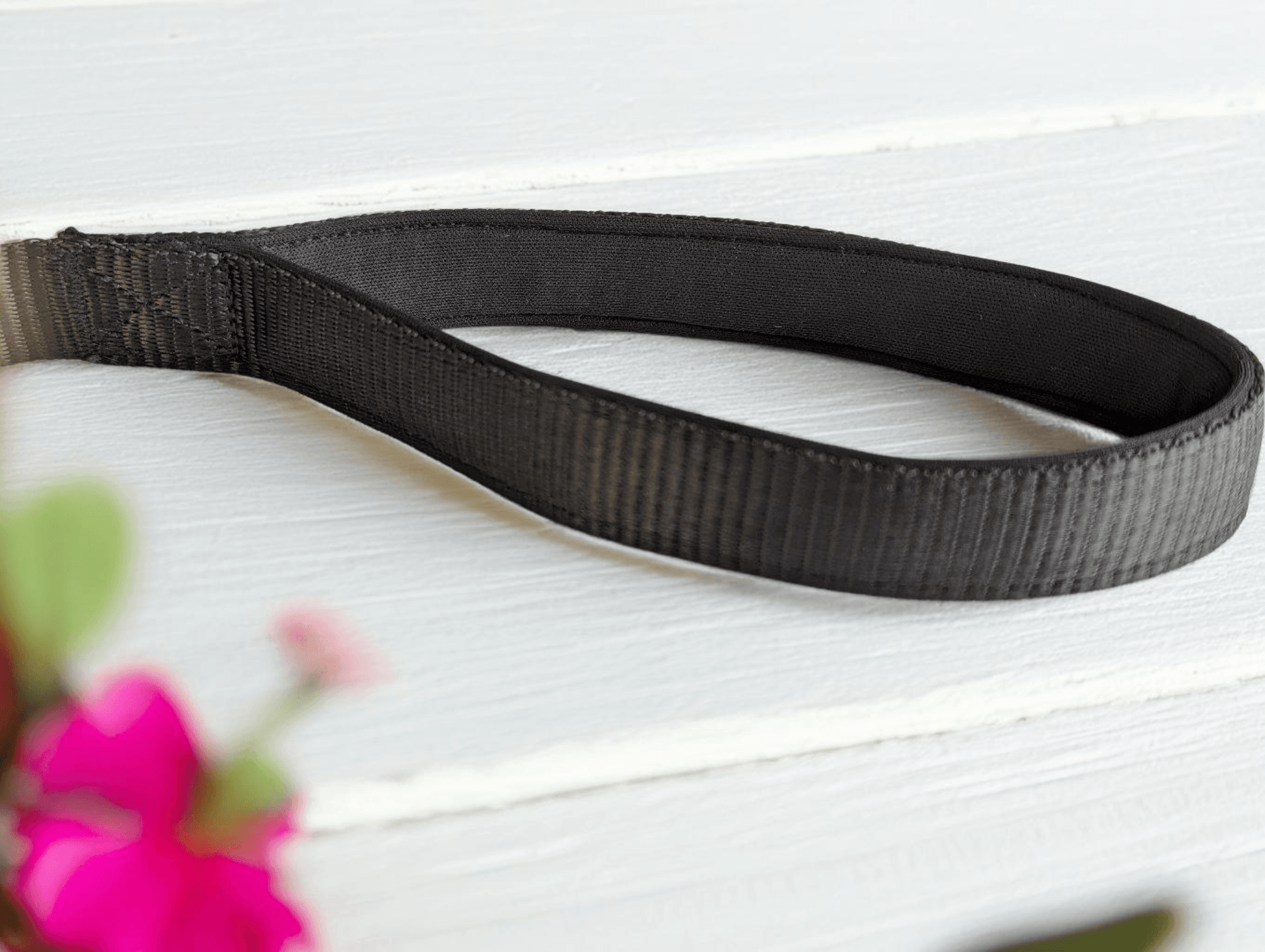 Thunder Tails Everyday Nylon Leash-Black - Thunder Tails