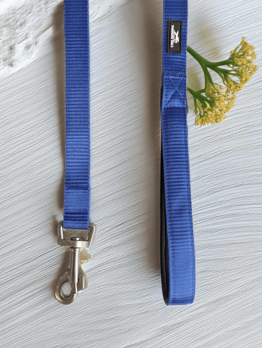 Thunder Tails Everyday Nylon Leash-Blue - Thunder Tails