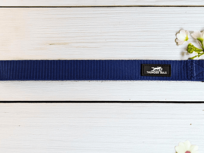 Thunder Tails Everyday Nylon Leash-Blue - Thunder Tails