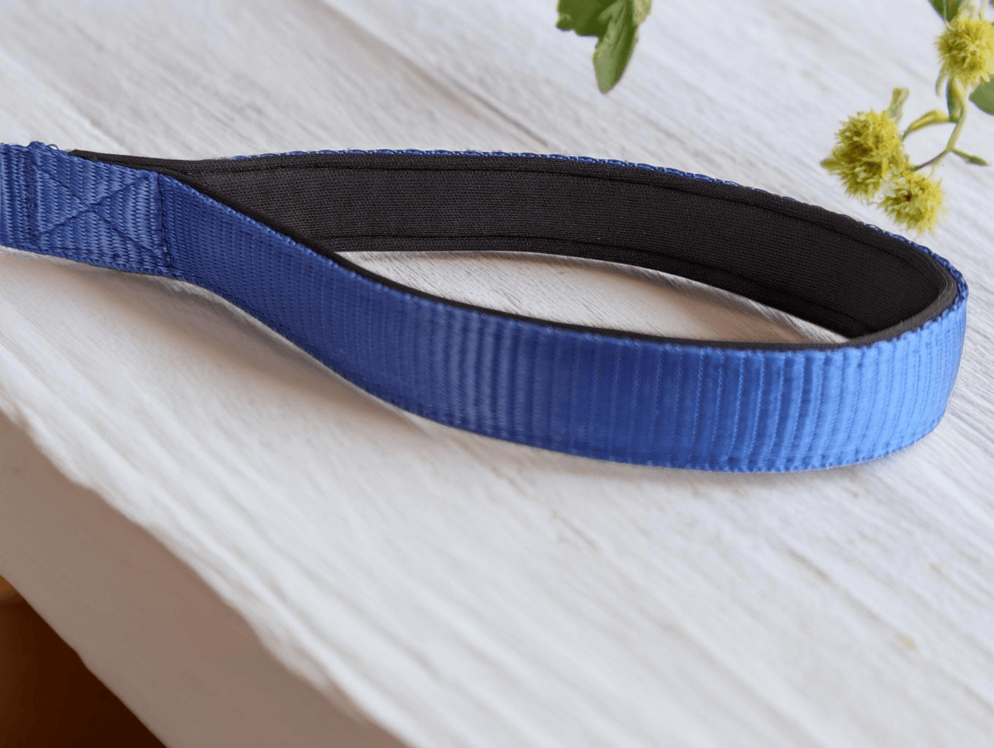 Thunder Tails Everyday Nylon Leash-Blue - Thunder Tails