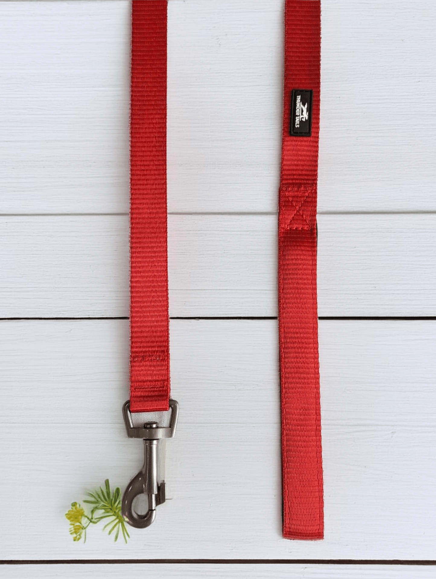 Thunder Tails Everyday Nylon Leash-Red - Thunder Tails