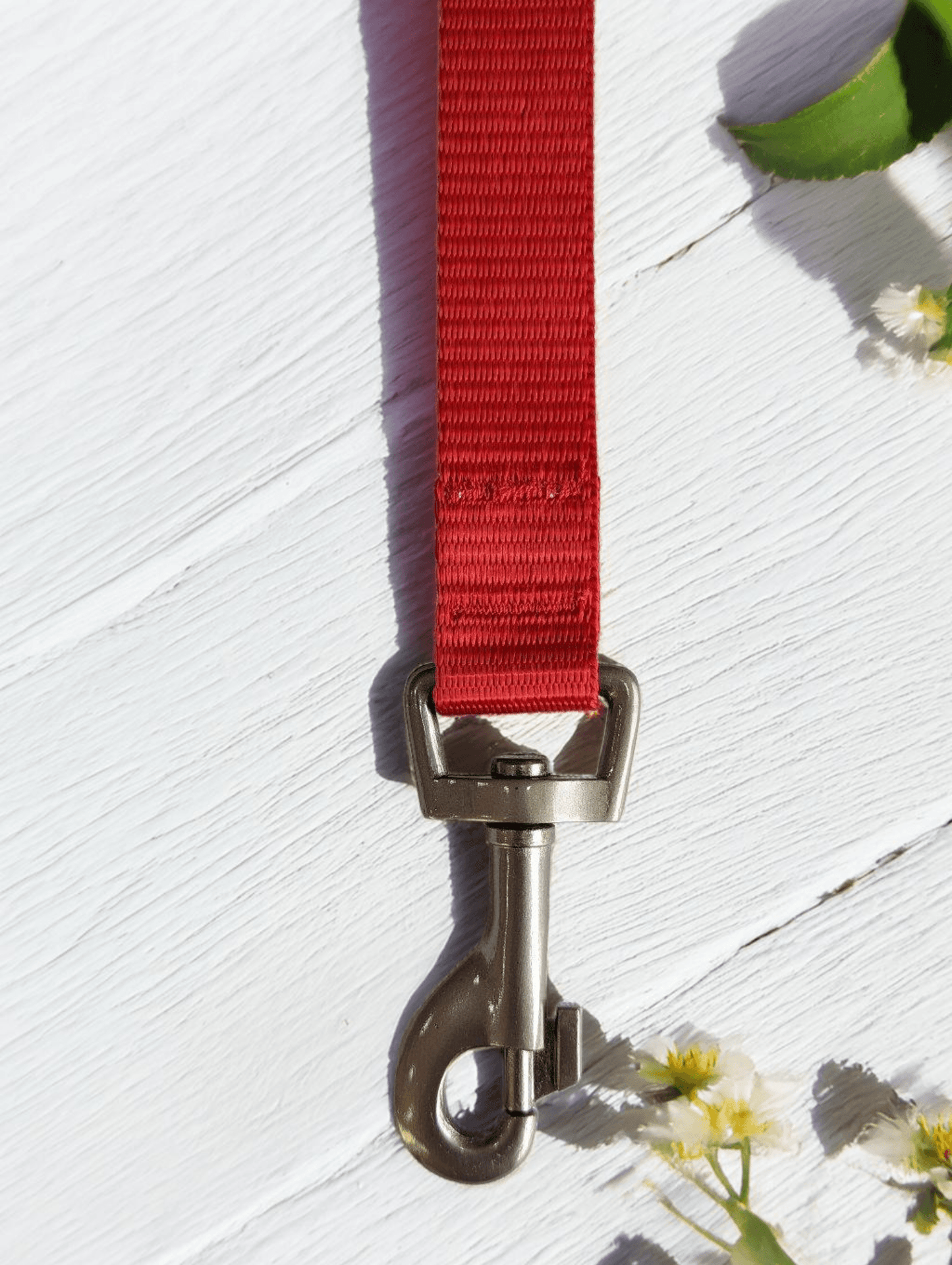 Thunder Tails Everyday Nylon Leash-Red - Thunder Tails