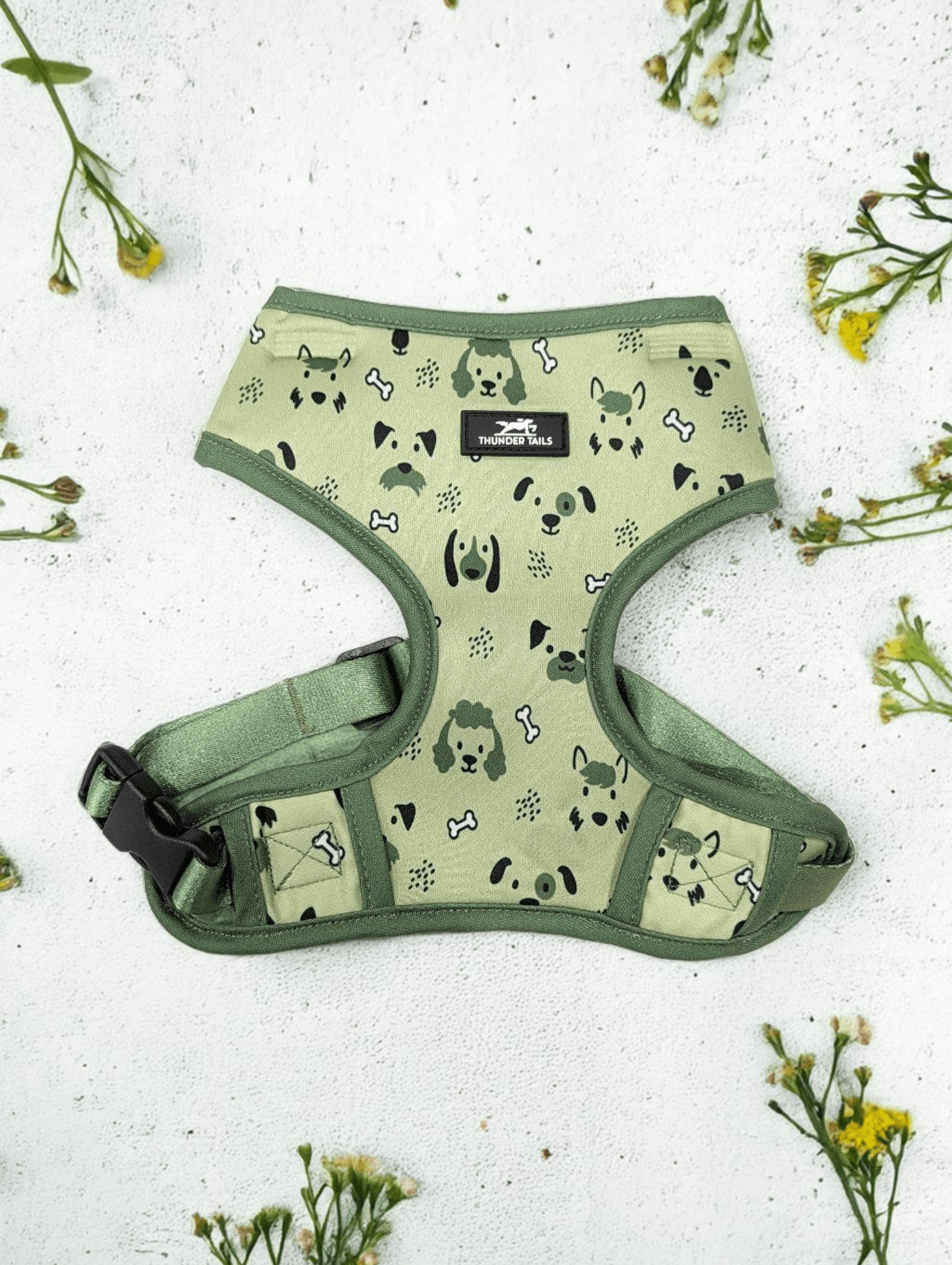 Thunder Tails Jungle Joy Neoprene Harness- Green Dog Print - Thunder Tails