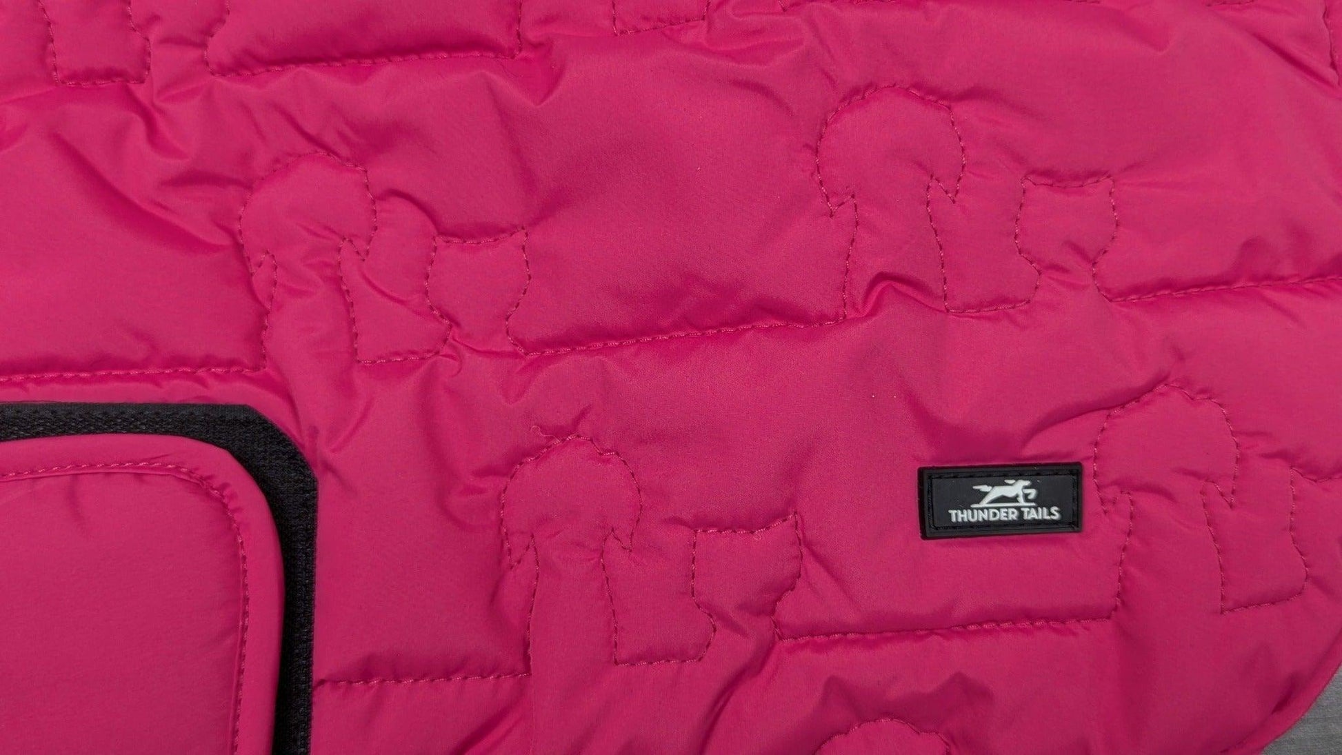 Thunder Tails Paws & Claws Jacket- Pink - Thunder Tails