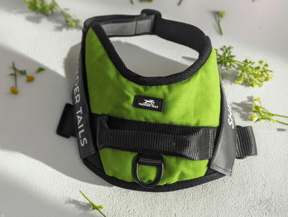 Thunder Tails Quick Fit Harness- Parrot Green - Thunder Tails