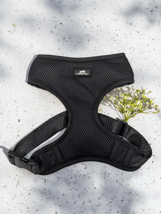 Thunder Tails Rain Or Shine Padded Mesh Harness- Black - Thunder Tails