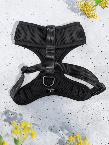 Thunder Tails Rain Or Shine Padded Mesh Harness- Black - Thunder Tails