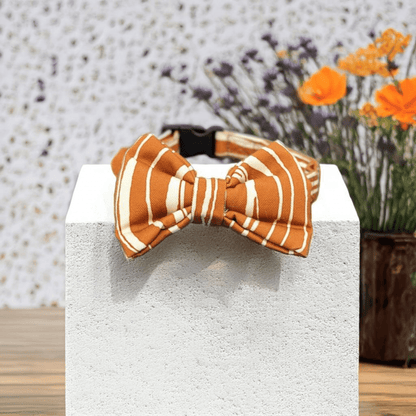 Thunder Tails Spring Buddy Fabric collars with bow tie- Orange Abstract - Thunder Tails